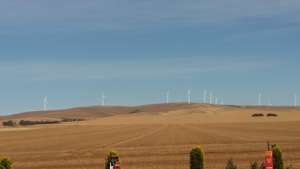 Windmill farm near Snowtown (SA)