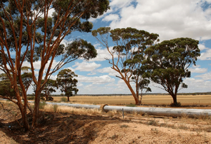 Golden Pipeline between Kalgoorlie and Perth