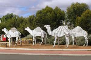 Camel statues in Norseman (WA)