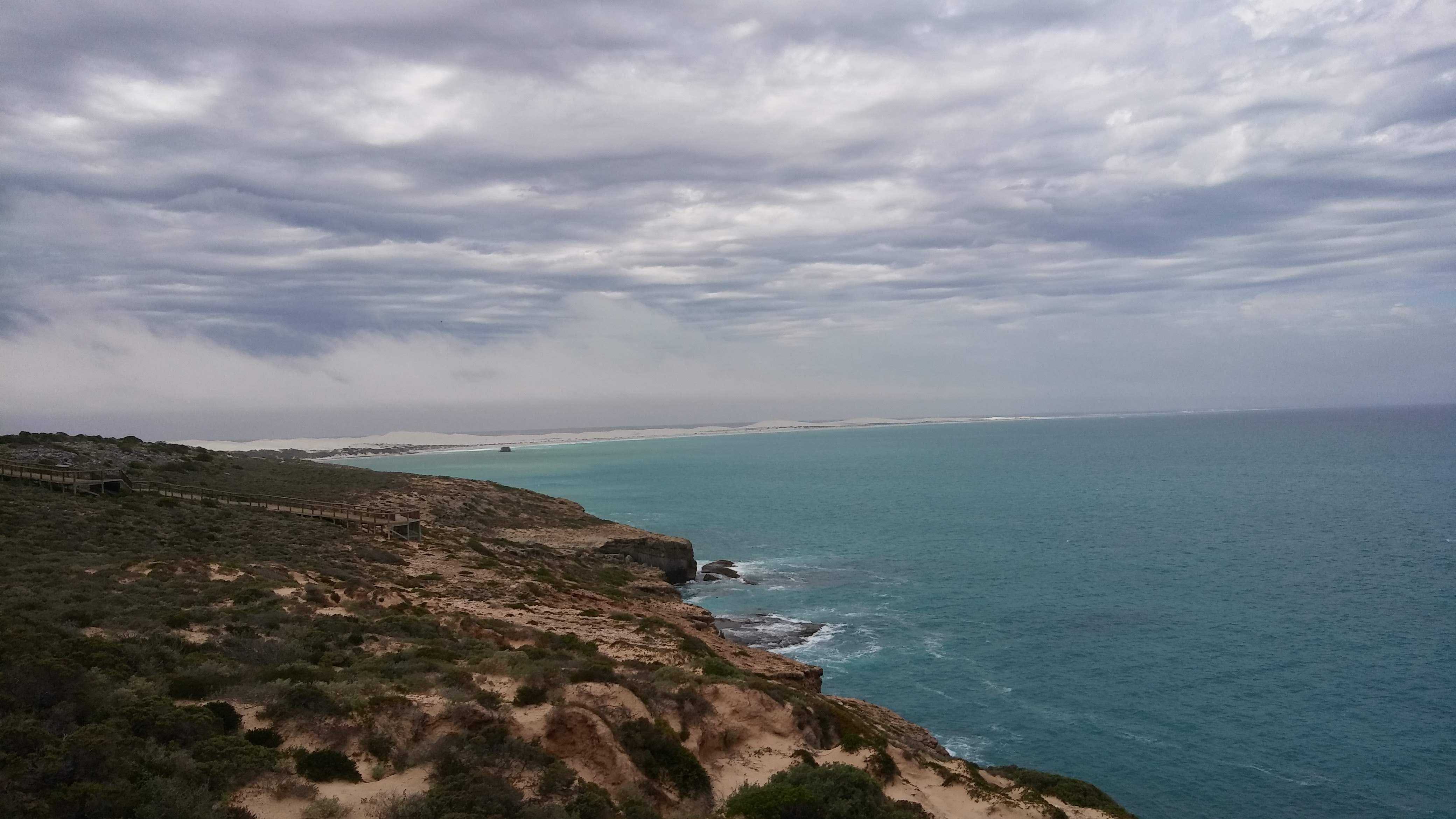 Whale watching at Head of the Bight