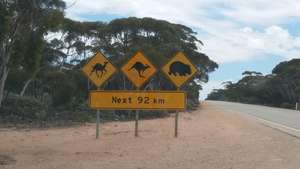 Rare signpost with camel