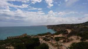 Whale watching at Head of the Bight