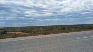 Nullarbor Plain