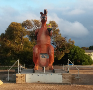 Big Kangaroo at Border Village Roadhouse