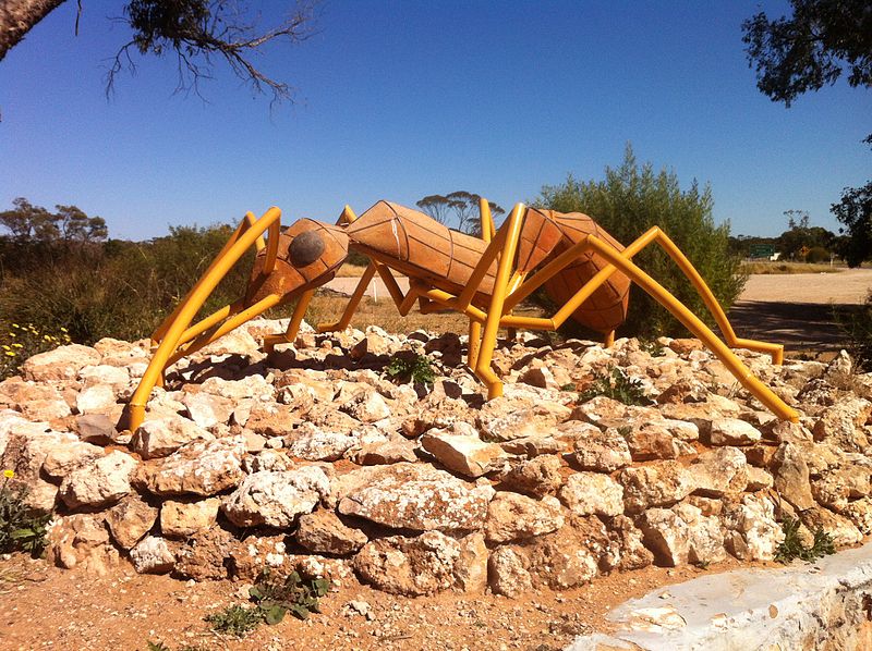 Big Ant at Poochera (SA)