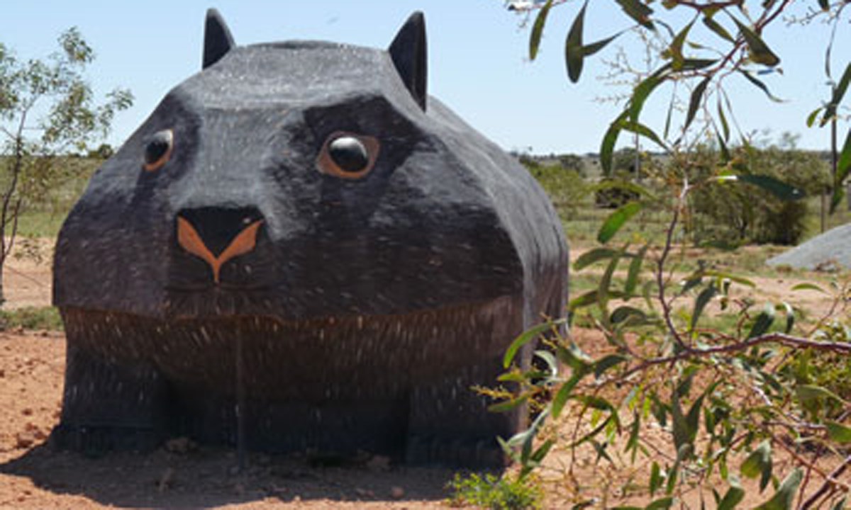 Big Wombat at Bookabie (SA)