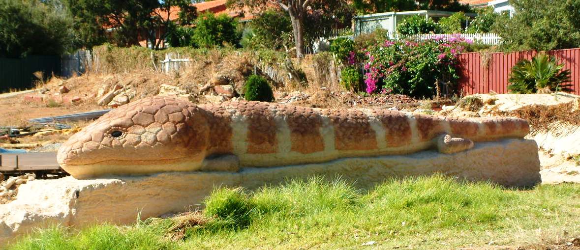 Big Bobtail at Kalamunda, Perth (WA)
