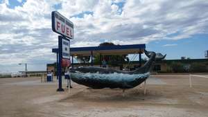 Big Whale at Nullarbor Roadhouse (SA)