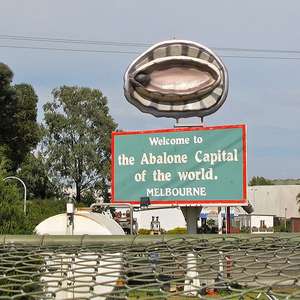 Big Abalone at Melbourne