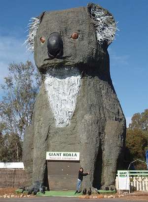Giant Koala at Dadswells Bridge